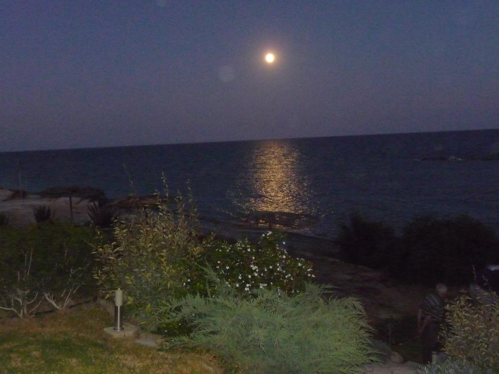 Zygi Beachfront Villa Εξωτερικό φωτογραφία