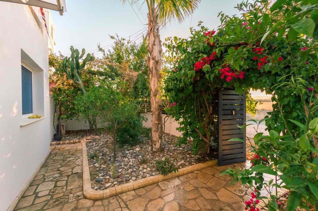 Zygi Beachfront Villa Εξωτερικό φωτογραφία